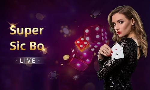 wg986 ဘင်ဂို Online Bingo Card မြန်မာ ကစားသမားများ MMK ကစားနည်း